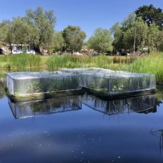 Picture of Floating Wetlands