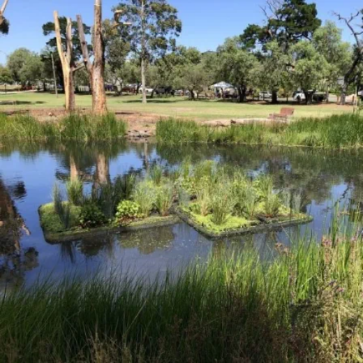Picture of Floating Wetlands