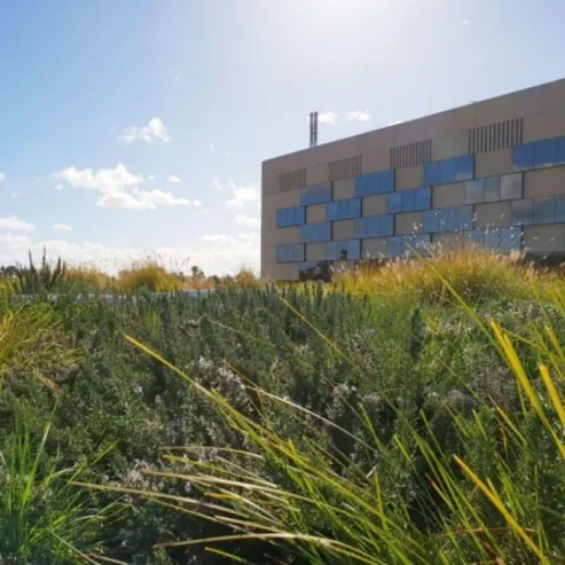 Picture of Roof Gardens