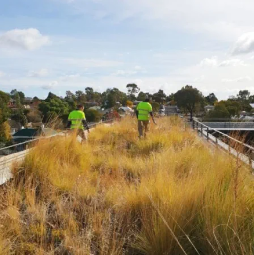 Picture of Roof Gardens