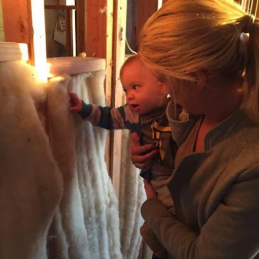 Picture of R20 Batt Insulation - 24" OC