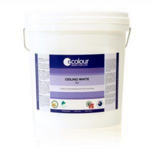 Picture of Ceiling White Paint