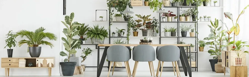 Green Moves Australia - 1 to 7 Stars Project Tile