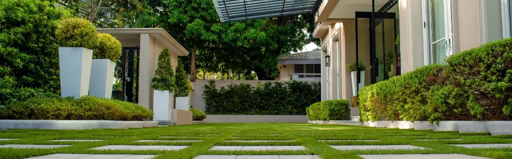 Plontur - French Symmetry Project Tile